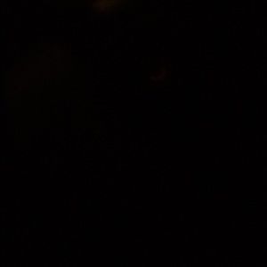 Meet your Posher, Desiree