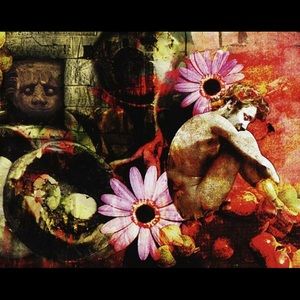 Meet your Posher, Desiree