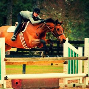 Meet your Posher, Allie