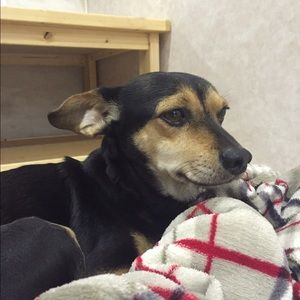 Meet your Posher, Eden