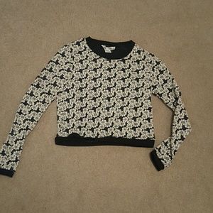 Daisy sweater crop top