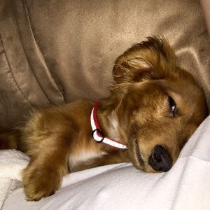 Meet your Posher, Derek