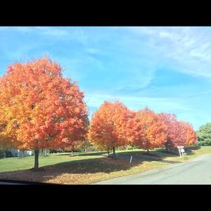 Meet your Posher, Ermina