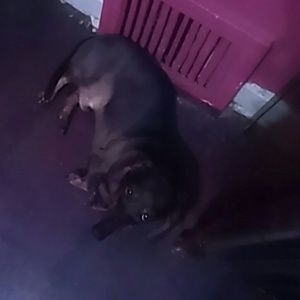 Meet your Posher, Sonya