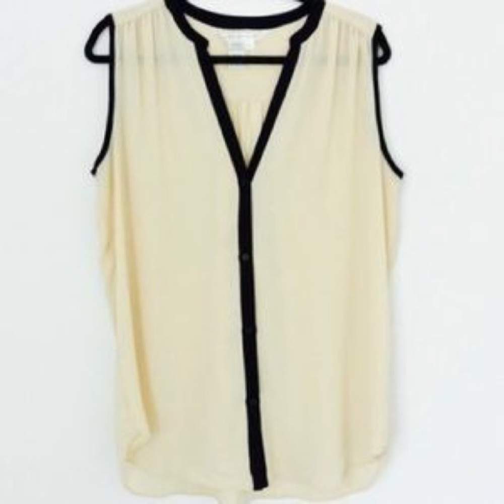 Max Studio Sheer Top