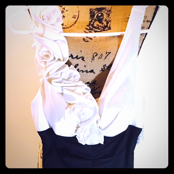 Brand new Formal Xscape dress