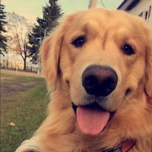 Meet your Posher, Jocelynn