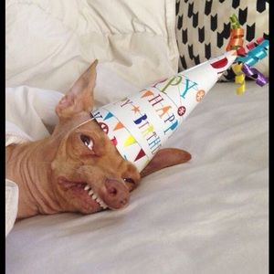 Meet your Posher, Erin