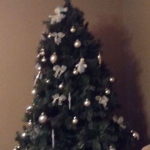 Meet your Posher, Tonia