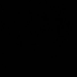 Meet your Posher, Leif