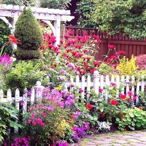 Meet your Posher, Dawn