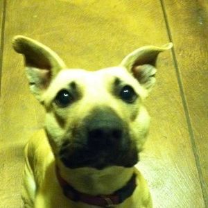 Meet your Posher, Carla