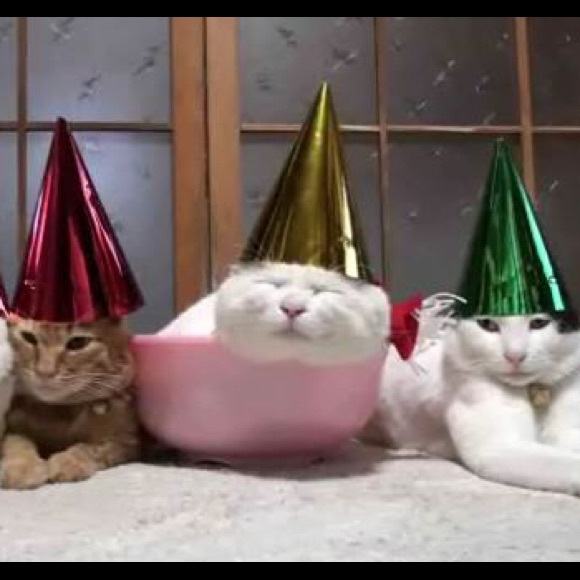 Meet your Posher, Sarah - Picture 1 of 1