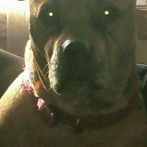 Meet your Posher, Tracy