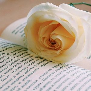 Meet your Posher, Teresa