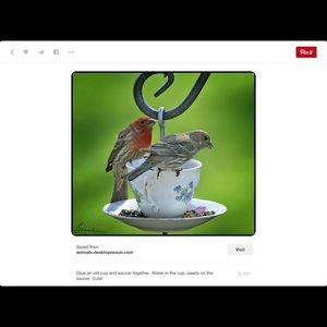 Meet your Posher, Judy