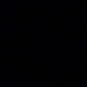 Meet your Posher, Jocelyn