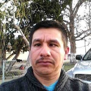 Meet your Posher, Hector