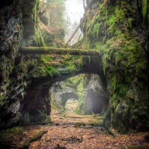 Meet your Posher, Colton