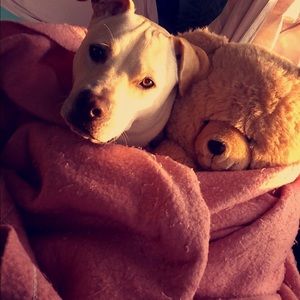 Meet your Posher, Chrissy