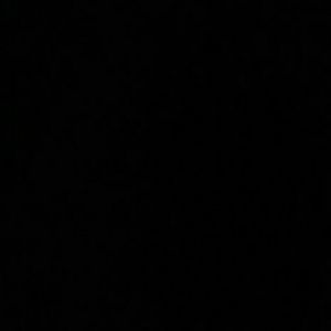 Meet your Posher, Dora