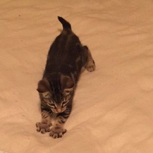 Meet your Posher, Kari