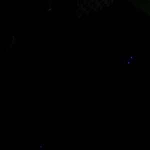 Meet your Posher, Christy