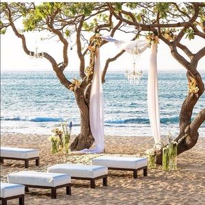 Meet your Posher, Nicolette