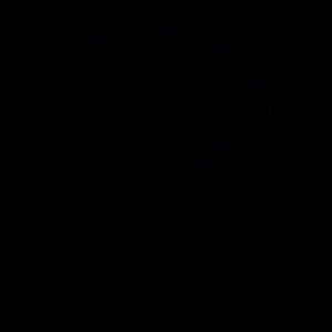 Meet your Posher, Demetria