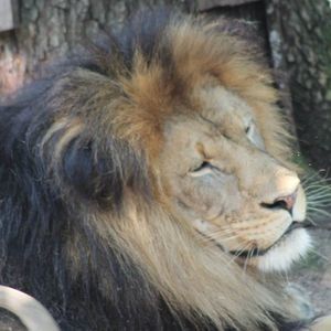 Meet your Posher, Zac