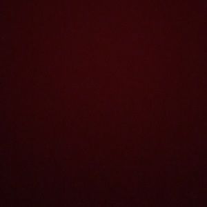 Meet your Posher, Shy