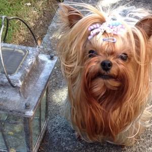 Meet your Posher, Hilda