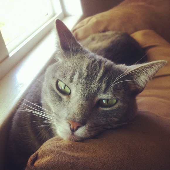 Meet your Posher, Adrianna - Picture 3 of 4