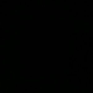 Meet your Posher, Hector