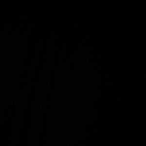 Meet your Posher, Calvin