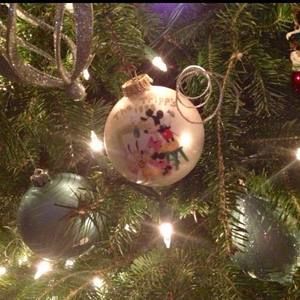 Meet your Posher, Judy