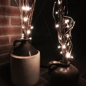 Meet your Posher, Lynn