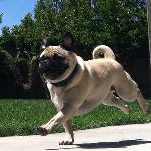 Meet your Posher, Sherice