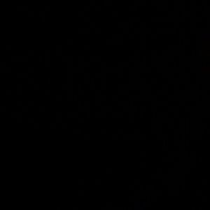 Meet your Posher, Monirica