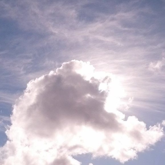 Meet your Posher, Shawn