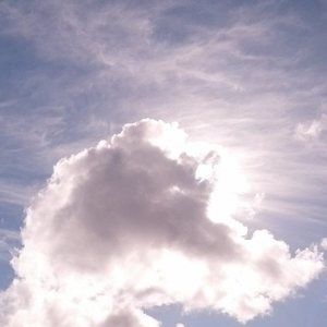 Meet your Posher, Shawn