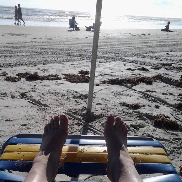 Meet your Posher, Rose - Picture 1 of 1