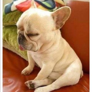 Meet your Posher, Richelle