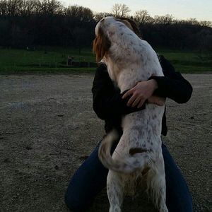 Meet your Posher, Riley