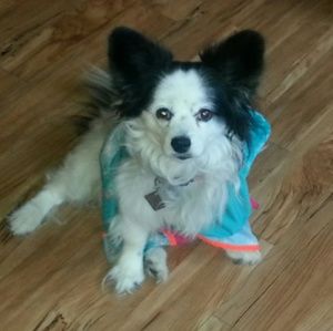 Meet your Posher, Angela