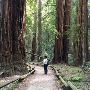 Meet your Posher, Dannemart