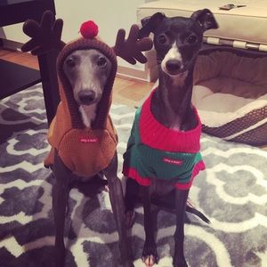 Christmas costumes