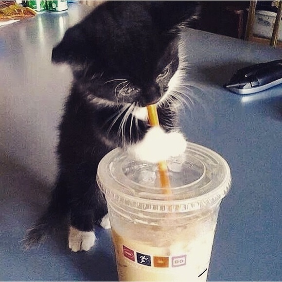 I NEED COFFEE ☕️
