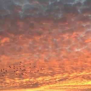 Meet your Posher, Ling