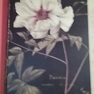 Meet your Posher, Donnette